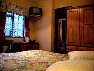 Blossoms York Guesthouse 외부 사진